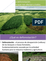 Deforestación