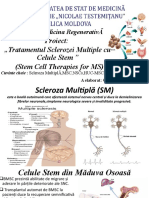 Tratamentrul Sclerozei Multiple Cu Celule Stem