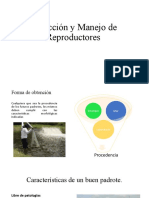 Selección y Manejo de Reproductores