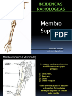 Membros Superiores 1 1