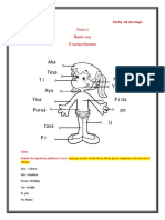 Tema 6 El Cuerpo Humano