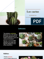 Los Cactus