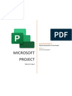 Ms Project