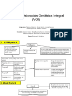 Evaluación funcional del adulto mayor con EFAM y Minimental