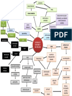 Organizador Grafico