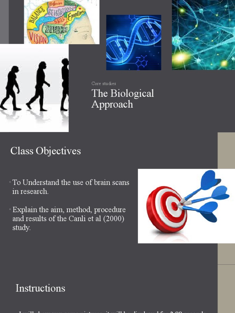 Amygdala Activation and Memory Recall | PDF | Functional Magnetic ...