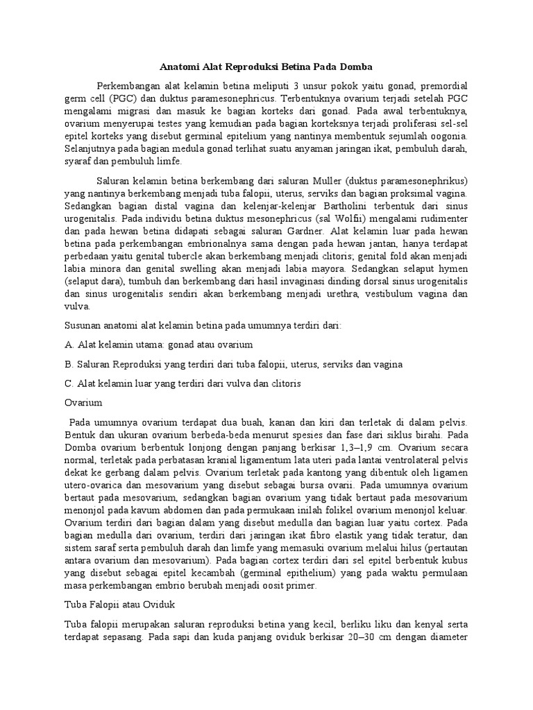 Diagram Anatomi Alat Reproduksi Betina Pada Domba