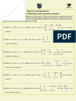 Ejercicios Integradores - Matrices y Sistemas de Ecuaciones Lineales