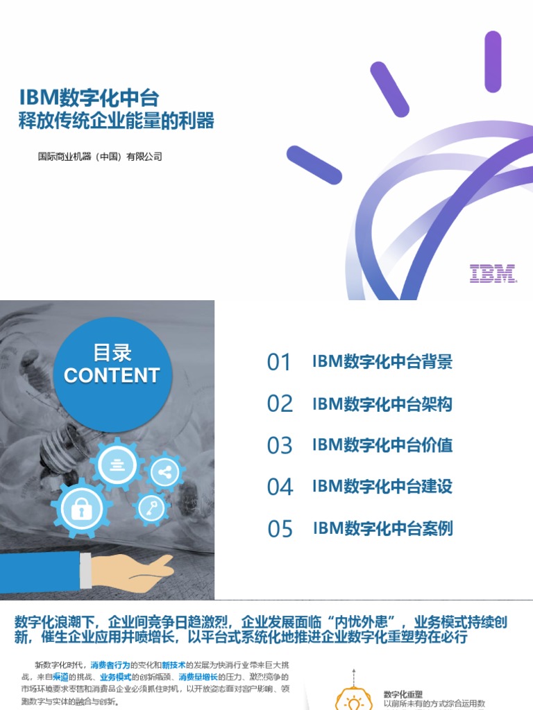 IBM数字化中台解决方案 | PDF