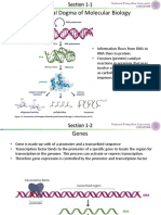 Central Dogma and Beyond: Understanding Molecular Diversity from Genomes to Phenotypes
