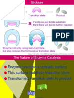 Substrate Transition State Product: Adapted From Nelson & Cox (2000) Lehninger Principles of Biochemistry (3e) p.252