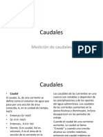 Caudales_Mediciones(1)