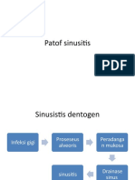 Patof Sinusitis