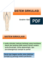 Sistem Sirkulasi