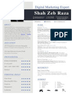 Shah Zeb Raza Resume Digital Marketing and Development Specalist