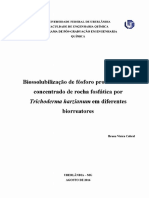 Biossolubilização de Fósforo Proveniente de Concentrado de Rocha Fosfática Por Trichoderma Harzianum em Diferentes Biorreatores