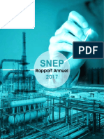 Rapport Annuel SNEP 2017 Compressed Min