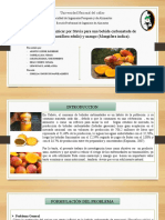 Sustitución Del Azúcar Por Stevia para Una Bebida Carbonatada de Maracuyá (Passiflora Edulis) y Mango (Mangifera Indica) .1