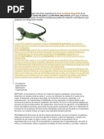 reptiles