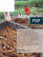 Mandioca 2 000g7pawh6302wx5ok0wtedt3b00k5er