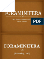 Foraminifera