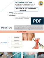 CIRUGIA PLASTICA GRUPO 11 Cirugía Reconstructiva - Injertos de Piel