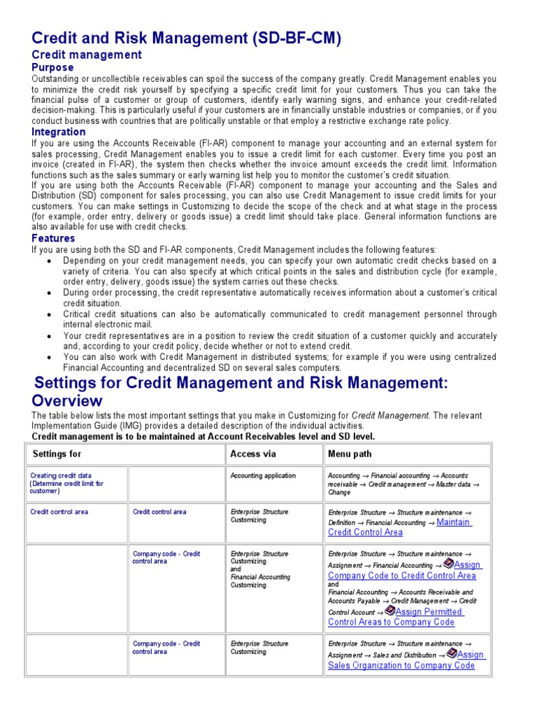 Credit and Risk Management Overview | PDF | Subroutine | Sales