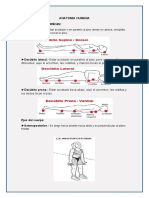 Anatomia Humana