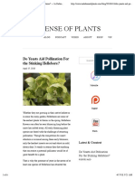 Do Yeasts Aid Pollination For The Stinking Hellebore? - in Defense of Plants