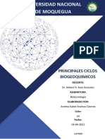 Principales Ciclos Biogeoquímicos