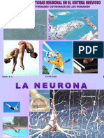 LA NEURONA