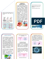 Triptico Biotecnologia