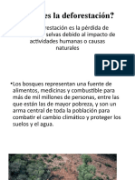 Qué Es La Deforestación 1RO SECUNDARIA