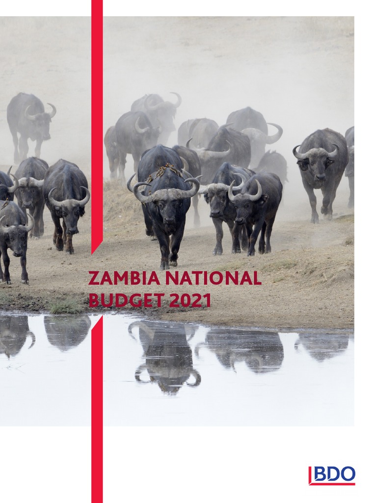 BDO Budget Booklet 2021 | PDF | Tariff | Taxes