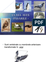 0pasarile