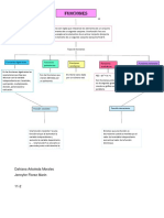 Mapa Conceptual Mate