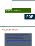 Agudeza Visual 1