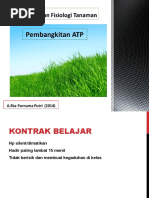 materi fotosintesis
