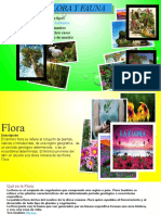 Diapositivas Flora y Fauna Wilder