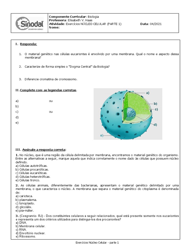 Exercícios sobre Núcleo Celular 9º Ano | PDF | Cromossomo | Célula ...