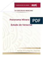 Veracruz Mineria