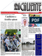 Periódico Tierra Caliente Edición 215 