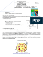 Guia 3 Ciencias Naturales 2p GR 5