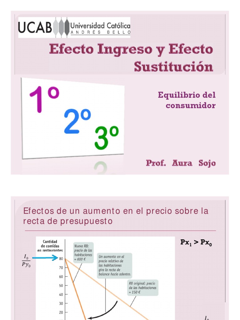 Efecto Ingreso y Sustitución en Economía | PDF | Teorías económicas ...