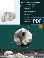 My All About Infographic: Polar Bear: Quick Facts