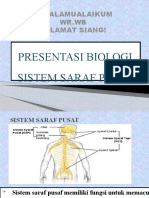 Ppt. Sistem Saraf Pusat