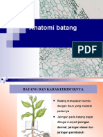 Anatomi Batang