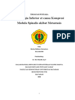 Tinjauan Pustaka (Paraplegia Inverior)