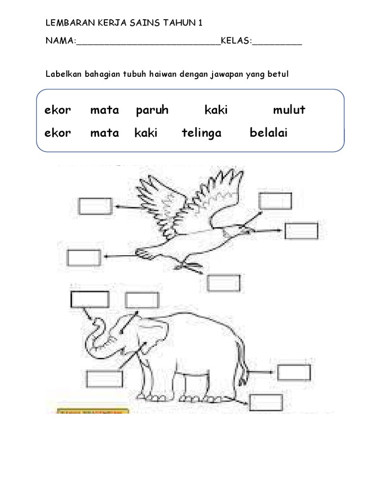 Lembaran Kerja Sains Tahun 1  PDF