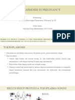 TOKSOPLASMOSIS PREGNANCY